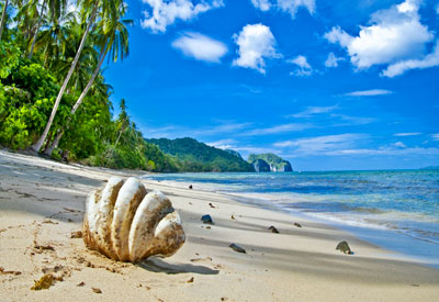 Du lịch Miền Trung - Bình Hưng - Ninh Chữ - Nha Trang Tết 2026